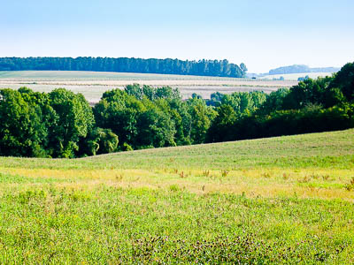 Bois et prairies au loin