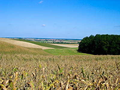 Entre Roche et Rilly, la Champagne