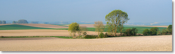 Entre Roche et Attigny